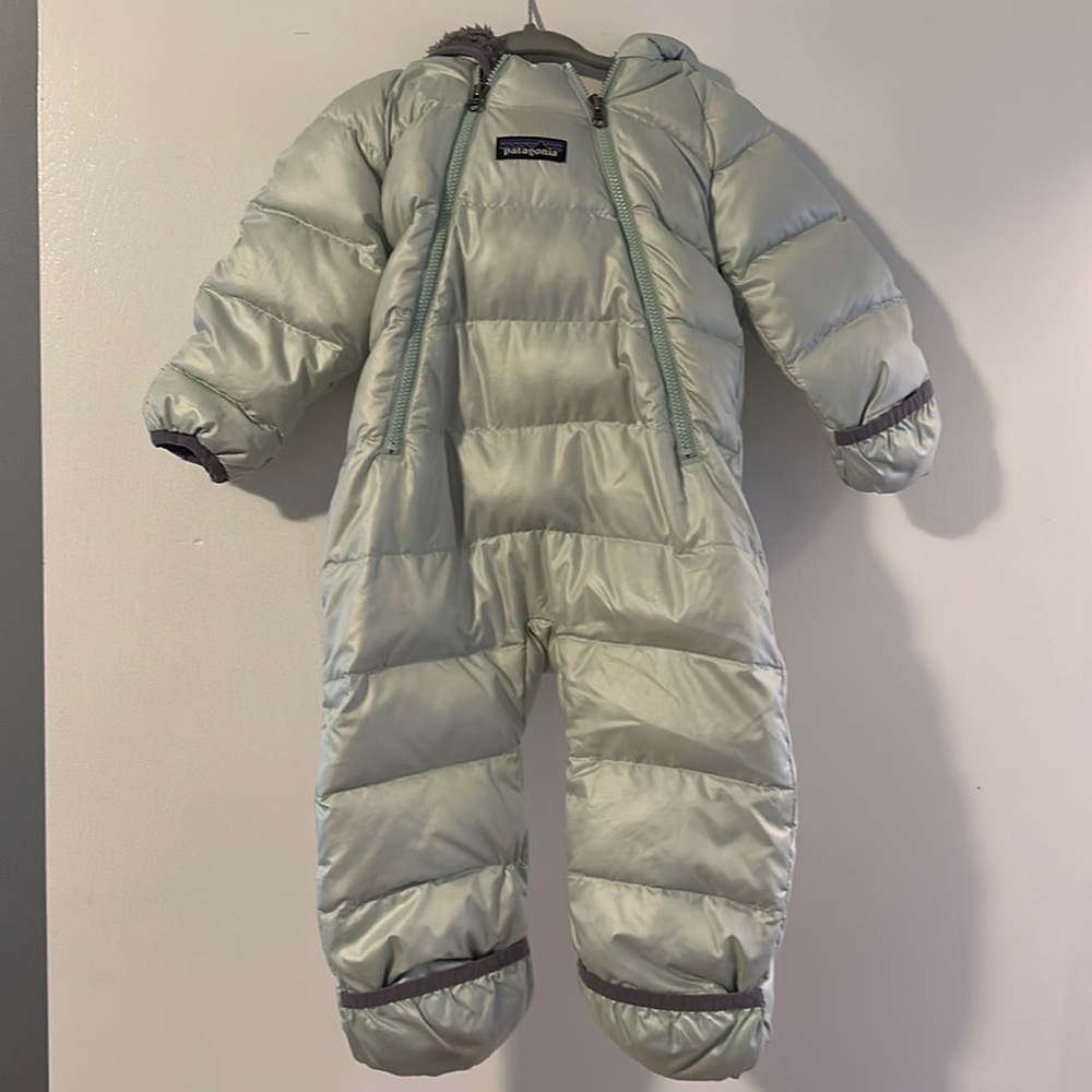 Patagonia down bunting